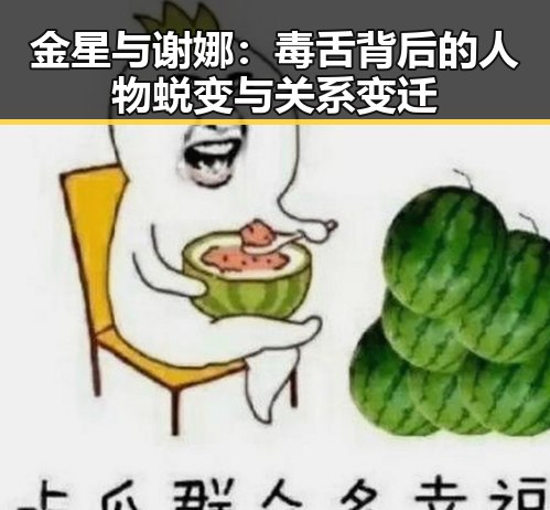 金星与谢娜：毒舌背后的人物蜕变与关系变迁