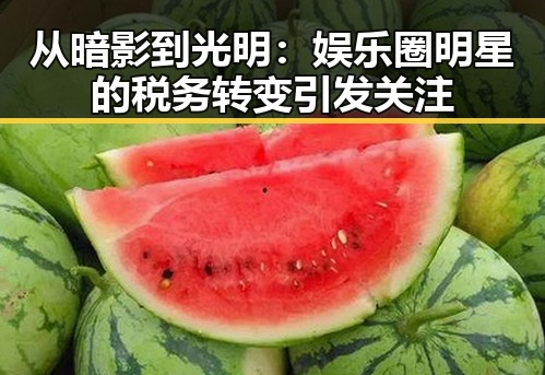 从暗影到光明:娱乐圈明星的税务转变引发关注